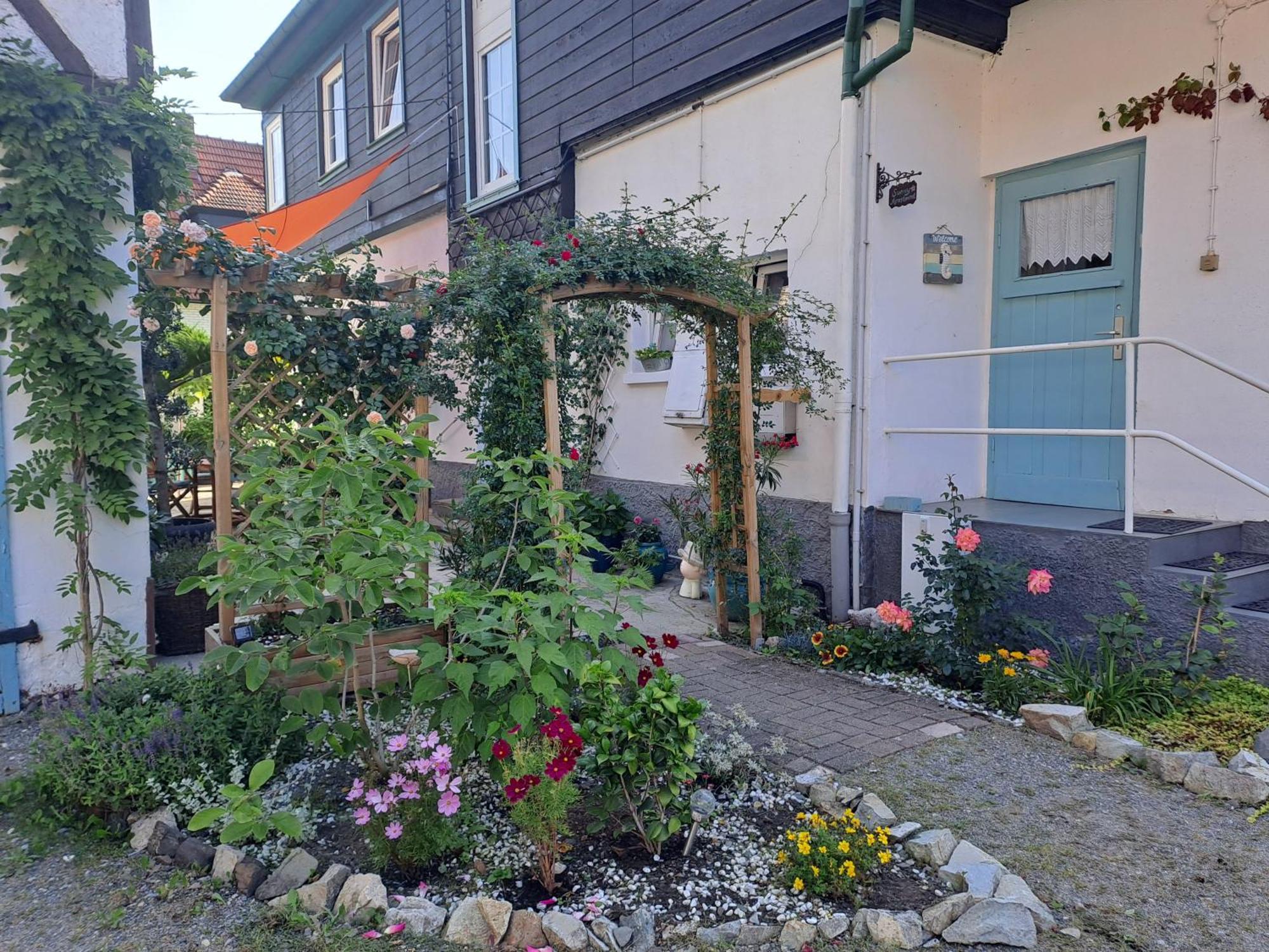 Sonniges Apartment Altenbrak Buitenkant foto